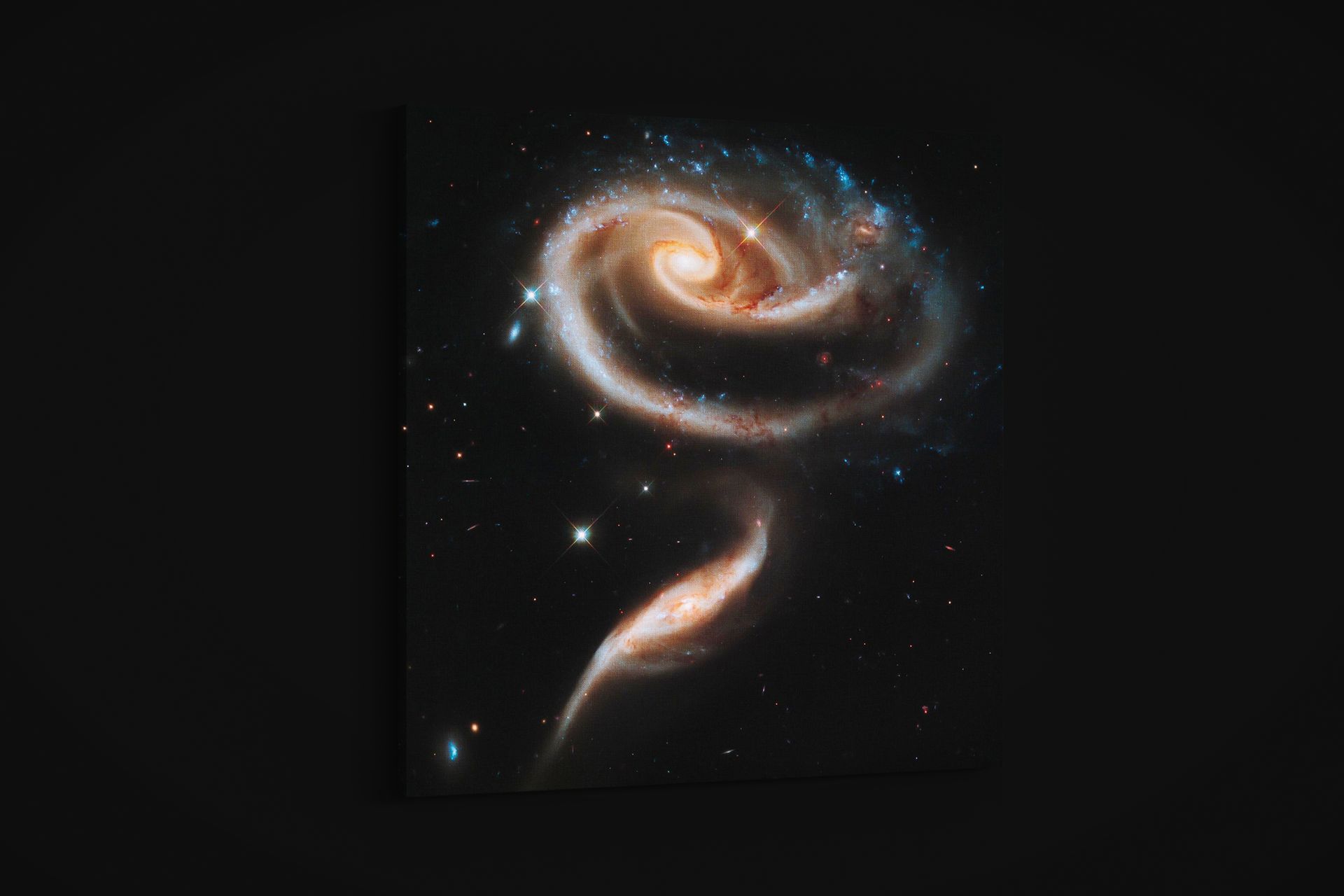 NASA – Hubble Rose of Galaxies – Art Print on Paper or Canvas