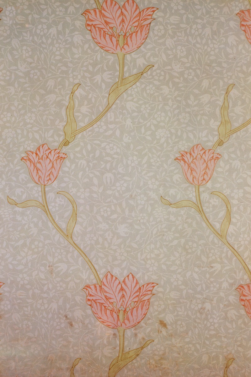 William Morris – Garden Tulip Wallpaper-2 – Art Print on Paper or Canvas