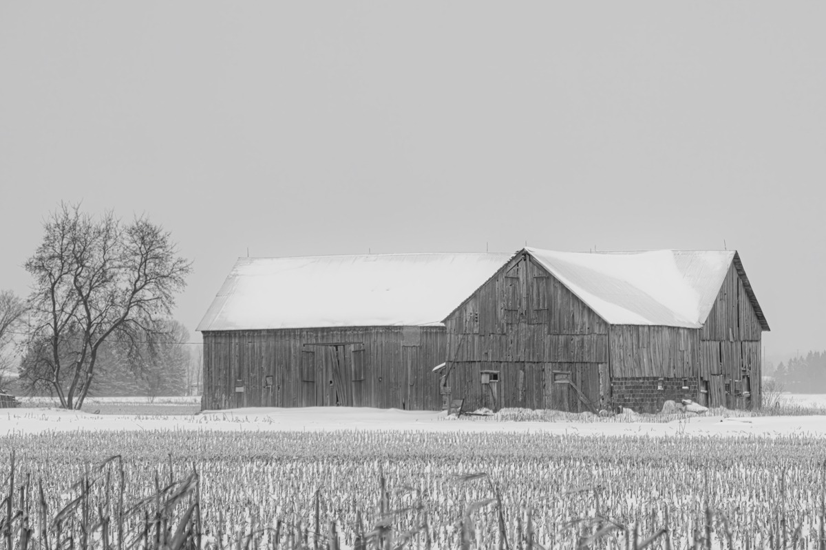 Jim Cumming – Old Barn Richmond, Ontario II – Art Print on Paper or Canvas