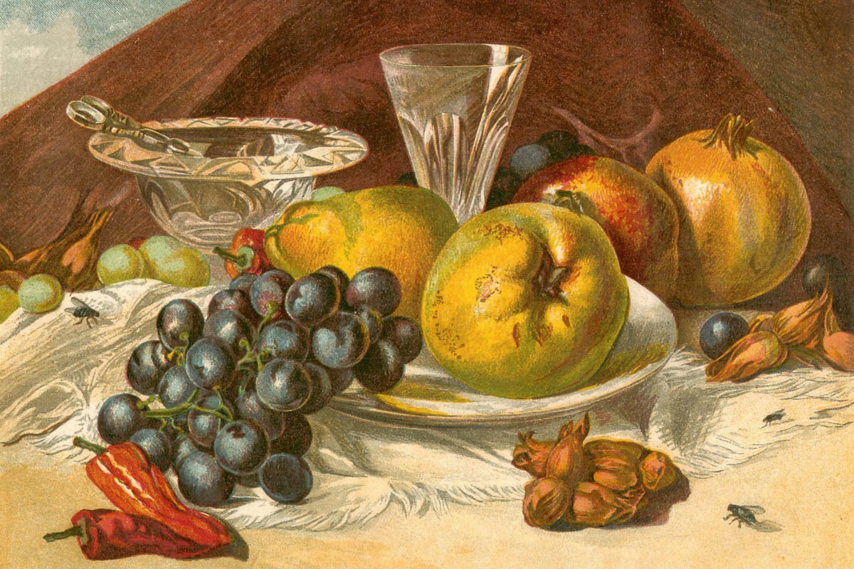 London Almanack – Vol. 17 – Jan and Feb Fruit – Art Print on Paper or Canvas