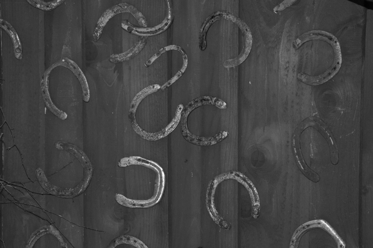 The Yellowstone Collection – Horseshoe Wall – Art Print on Paper or Canvas