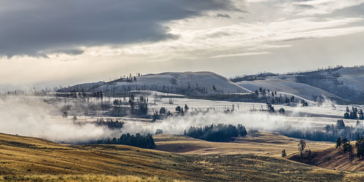 Collection – Dusting of Snow, Blacktail Deer Plateau, Yellowstone National Park