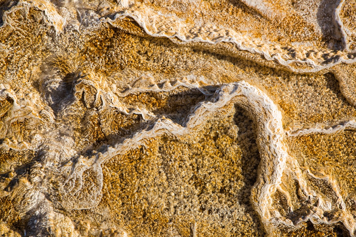 Herbert – Travertine Terraces at Mammoth Hot Springs, Yellowstone National Park