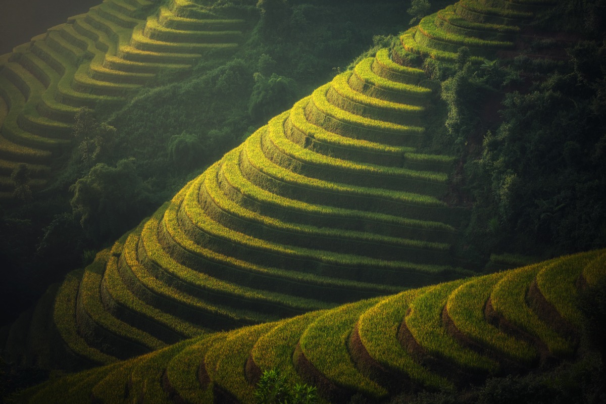 Artographie – Green Terraces – Art Print on Paper or Canvas