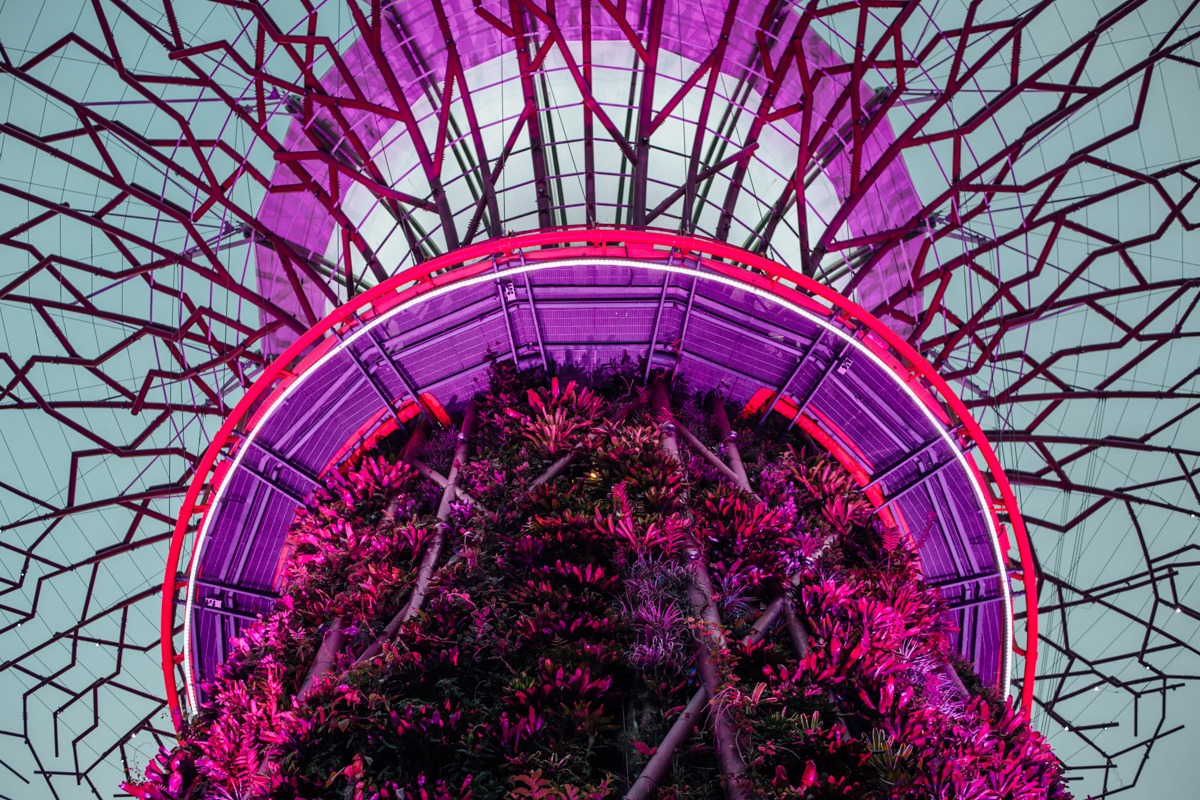 Artographie – Supertree Grove, Singapore – Art Print on Paper or Canvas