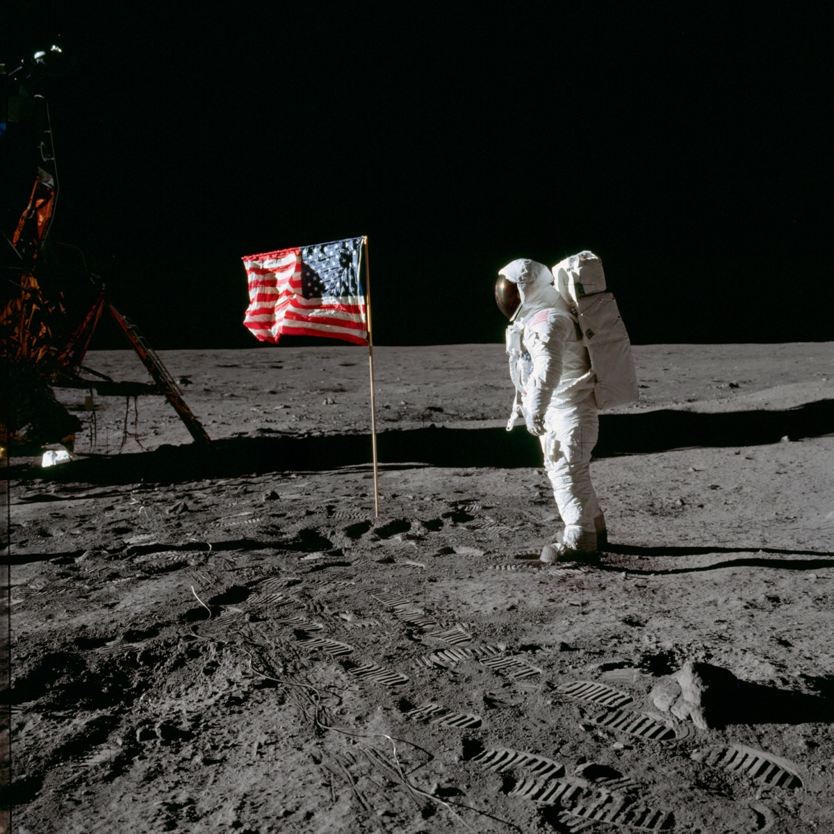 NASA – Astronaut Edwin E. Aldrin Jr Apollo 11 – Art Print on Paper or Canvas