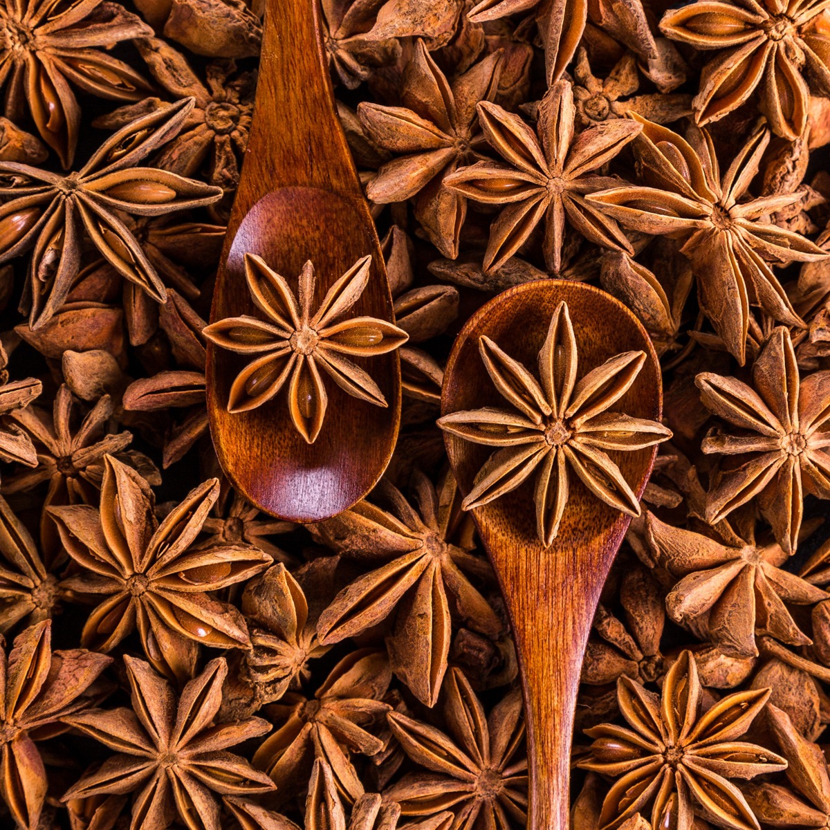 Artographie – Dried Anise – Art Print on Paper or Canvas