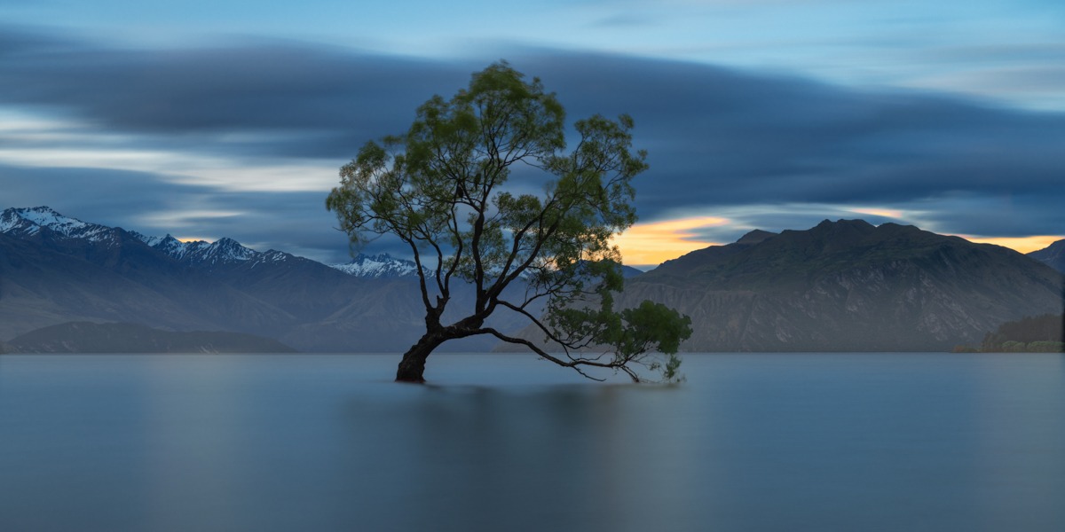 Artographie – Tree in the Lake – Art Print on Paper or Canvas