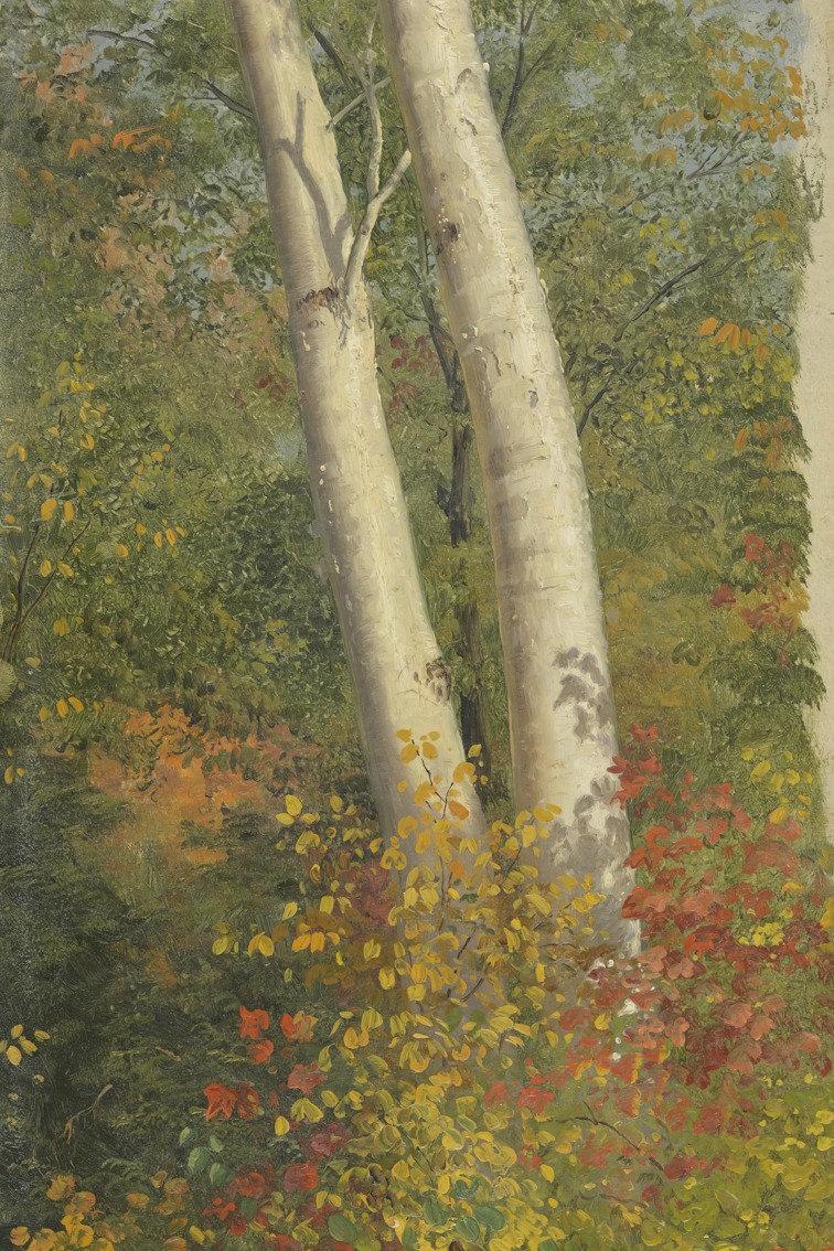 Frederic Edwin Church – Birch Trees in Autumn – Art Print on Paper or Canvas