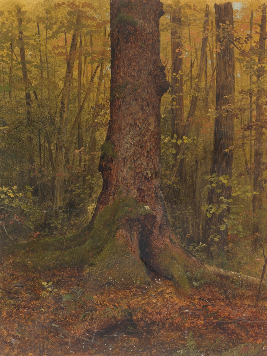 Frederic Edwin Church – In the Woods, Probably Maine – Paper or Canvas