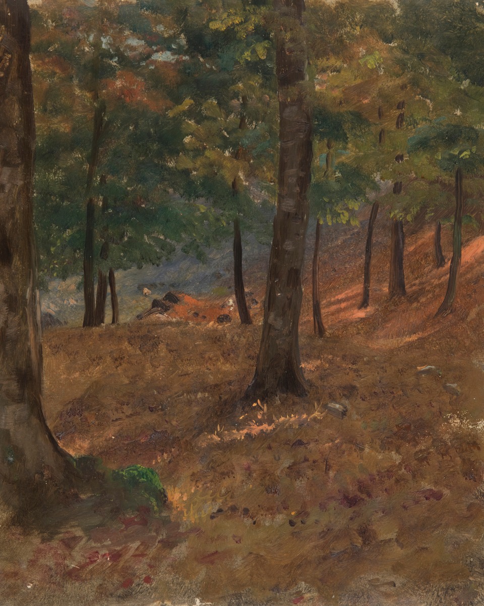 Frederic Edwin Church – Woodland Scene – Art Print on Paper or Canvas
