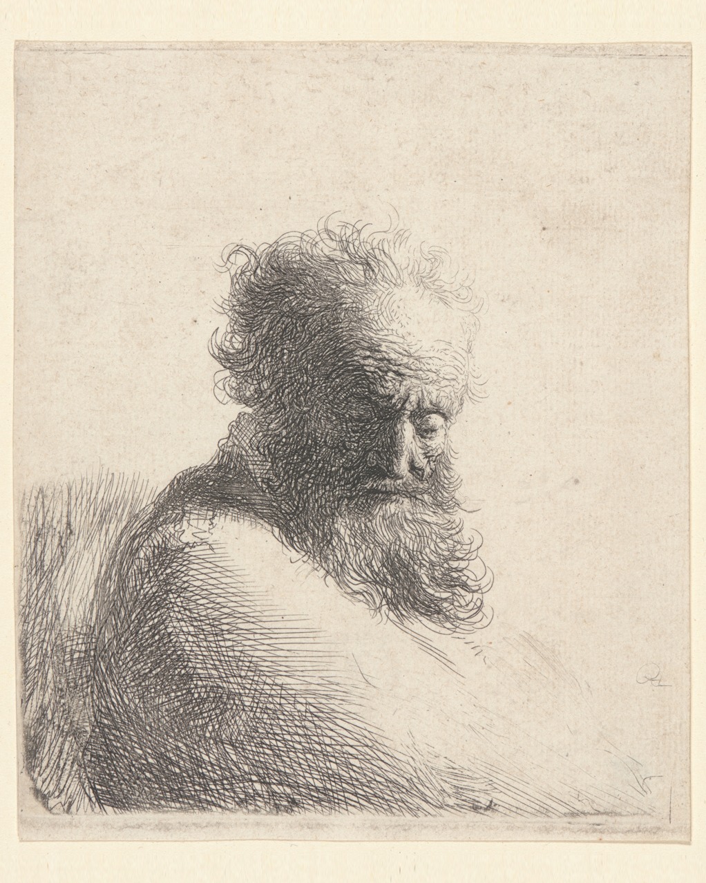 Rembrandt – Bust of an Old Bearded Man Looking Down – Paper or Canvas