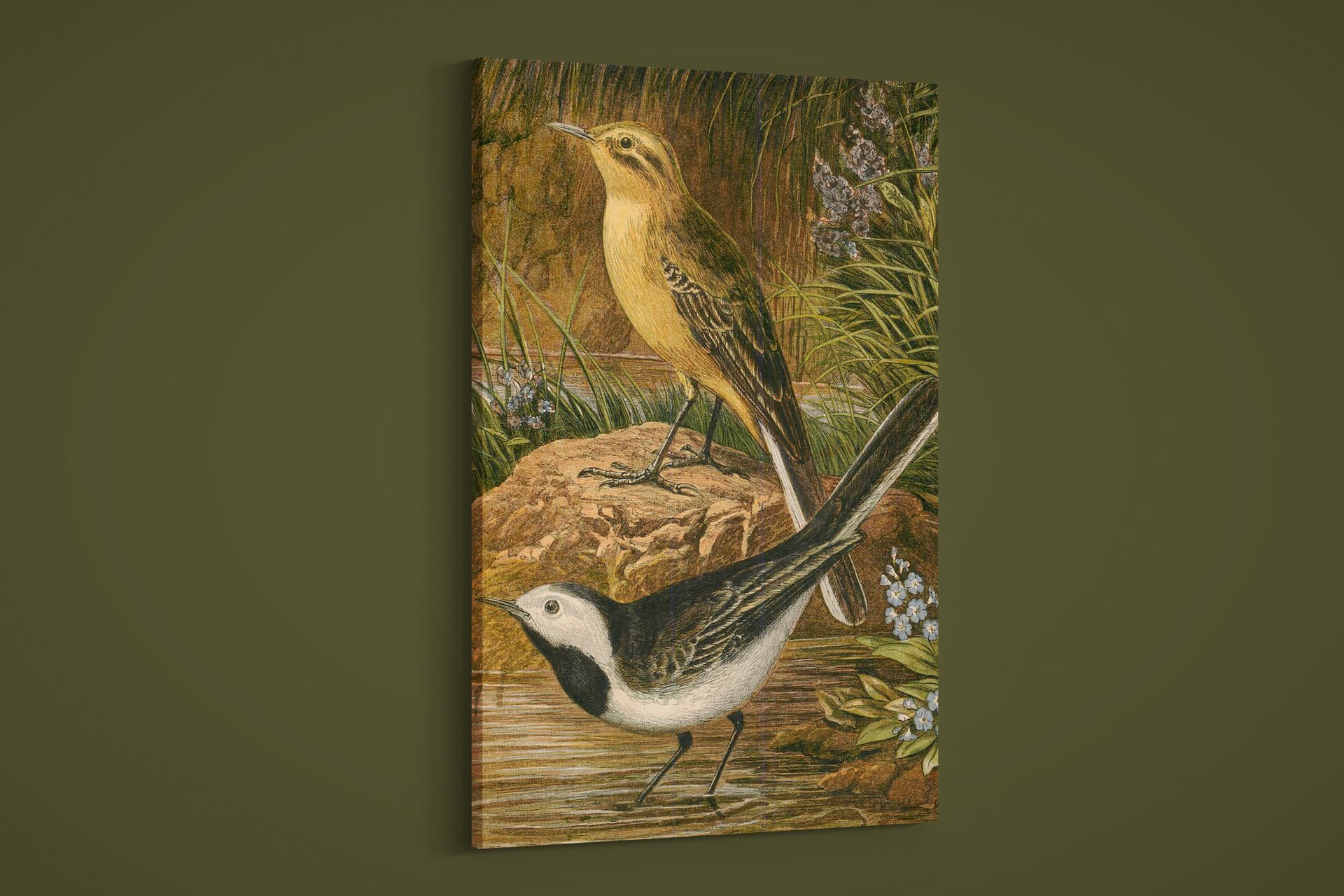 London Almanack - Vol. 26 - Birds 1 - Art Print on Paper or Canvas