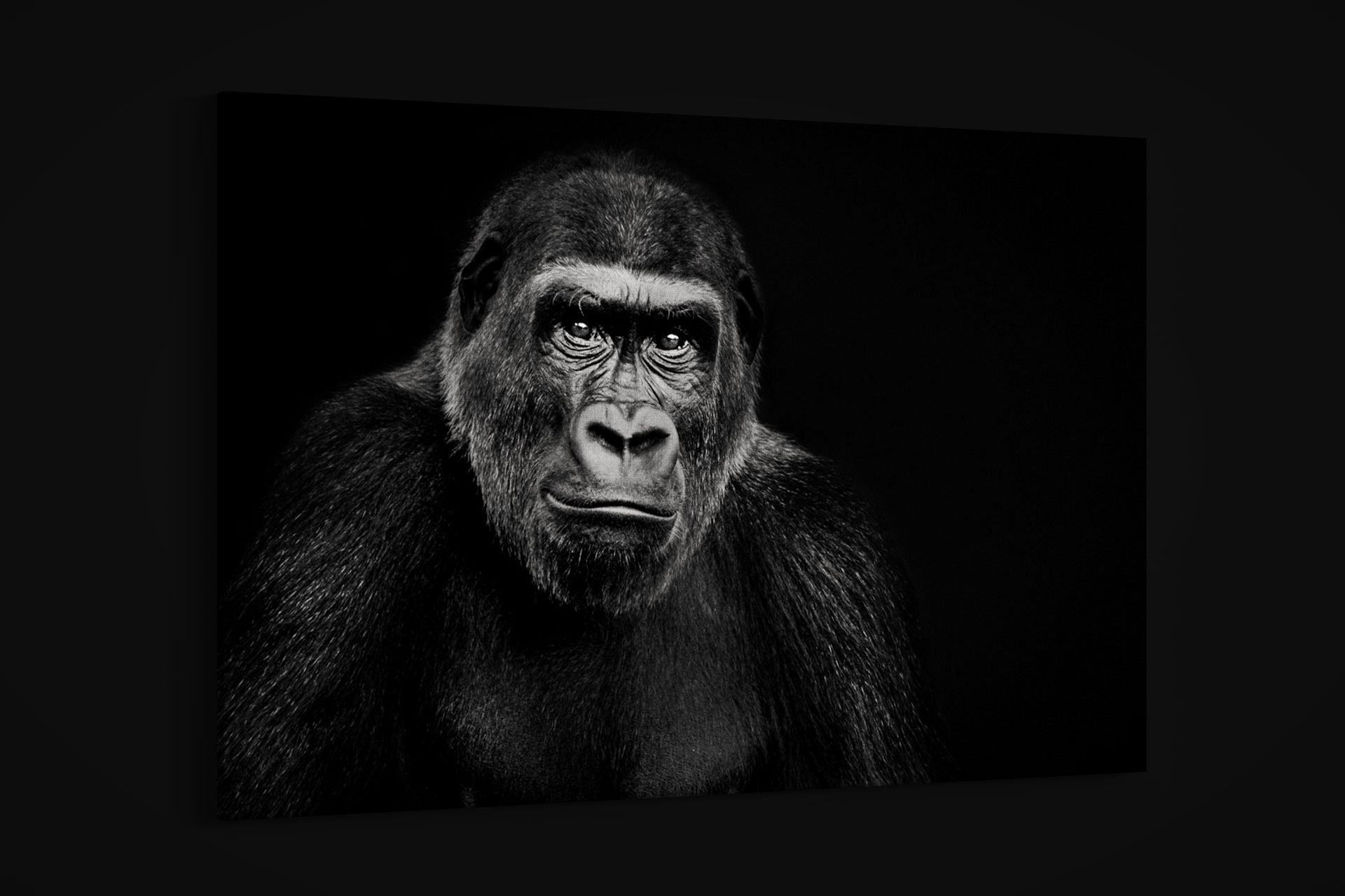 Artographie – Lowland Gorilla – Art Print on Paper or Canvas