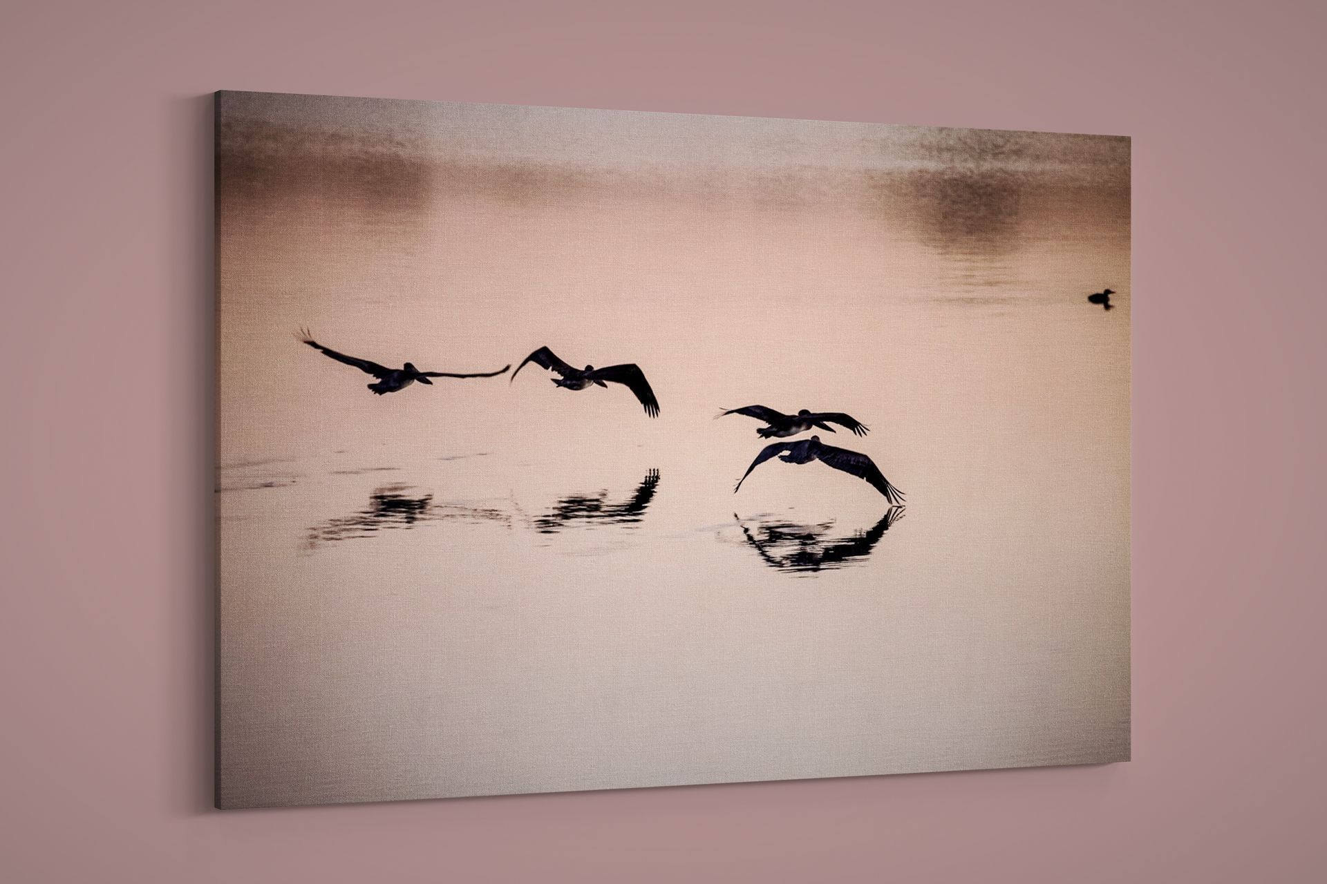 Artographie – Brown Pelicans Flying Low – Art Print on Paper or Canvas