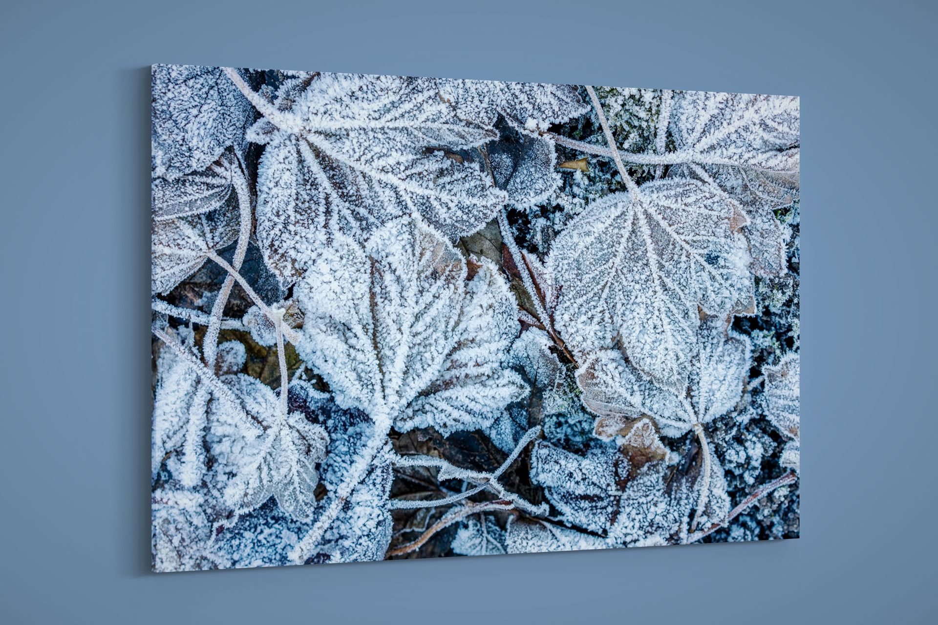 Artographie – Frosty Leaves – Art Print on Paper or Canvas