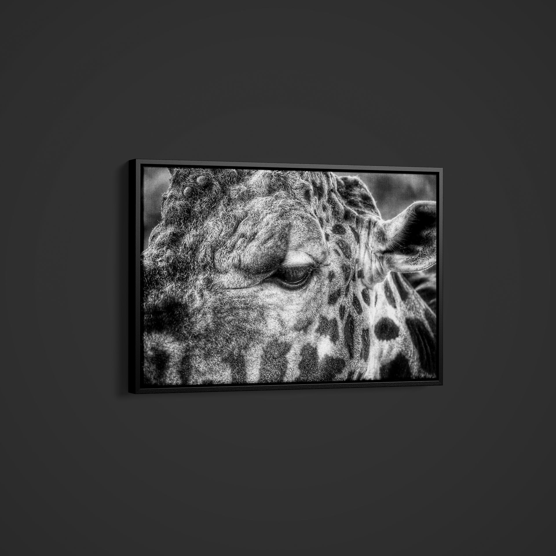 Artographie – Giraffe Close Up – Art Print on Paper or Canvas
