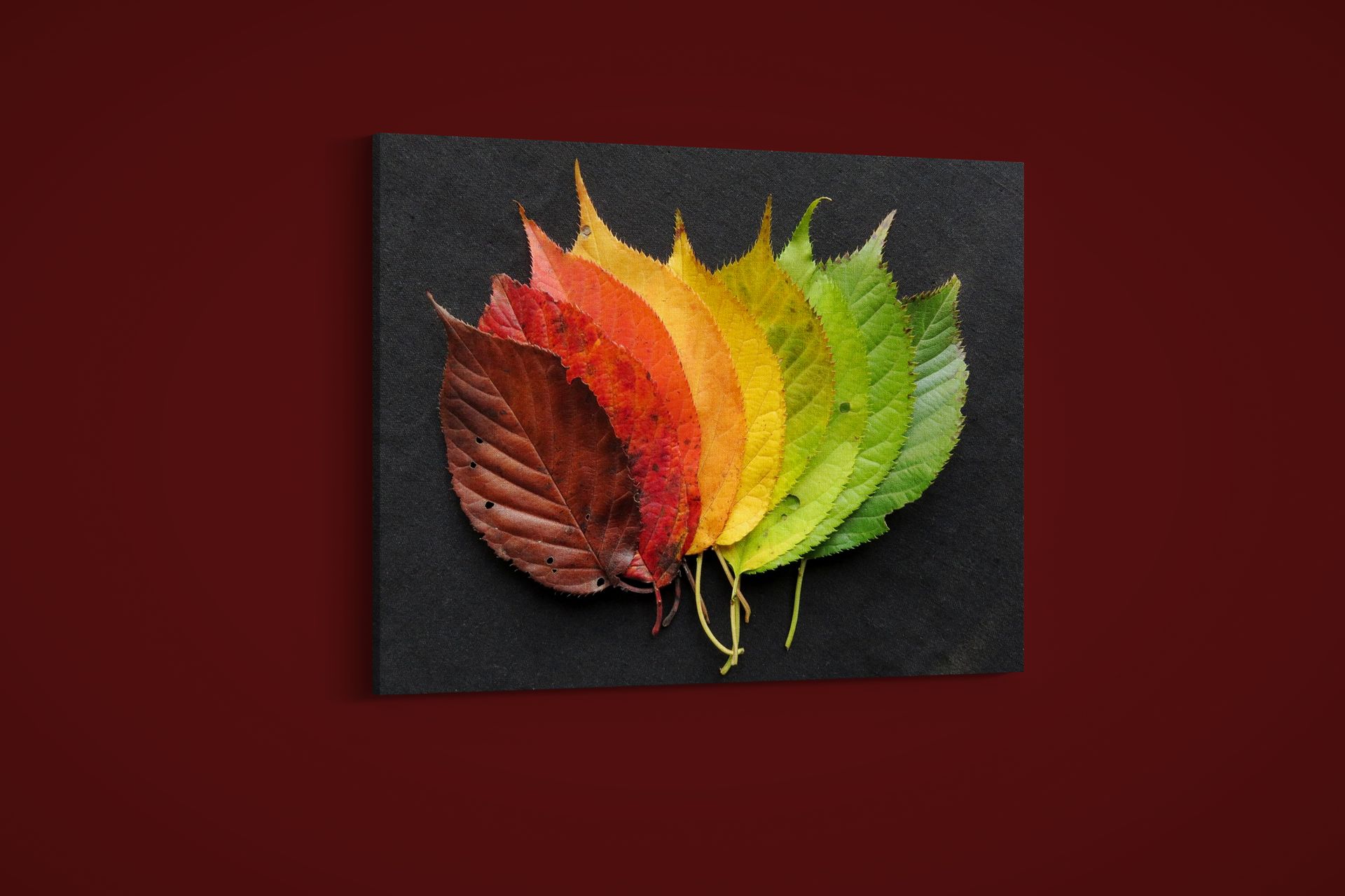 Artographie – The Seasons – Art Print on Paper or Canvas